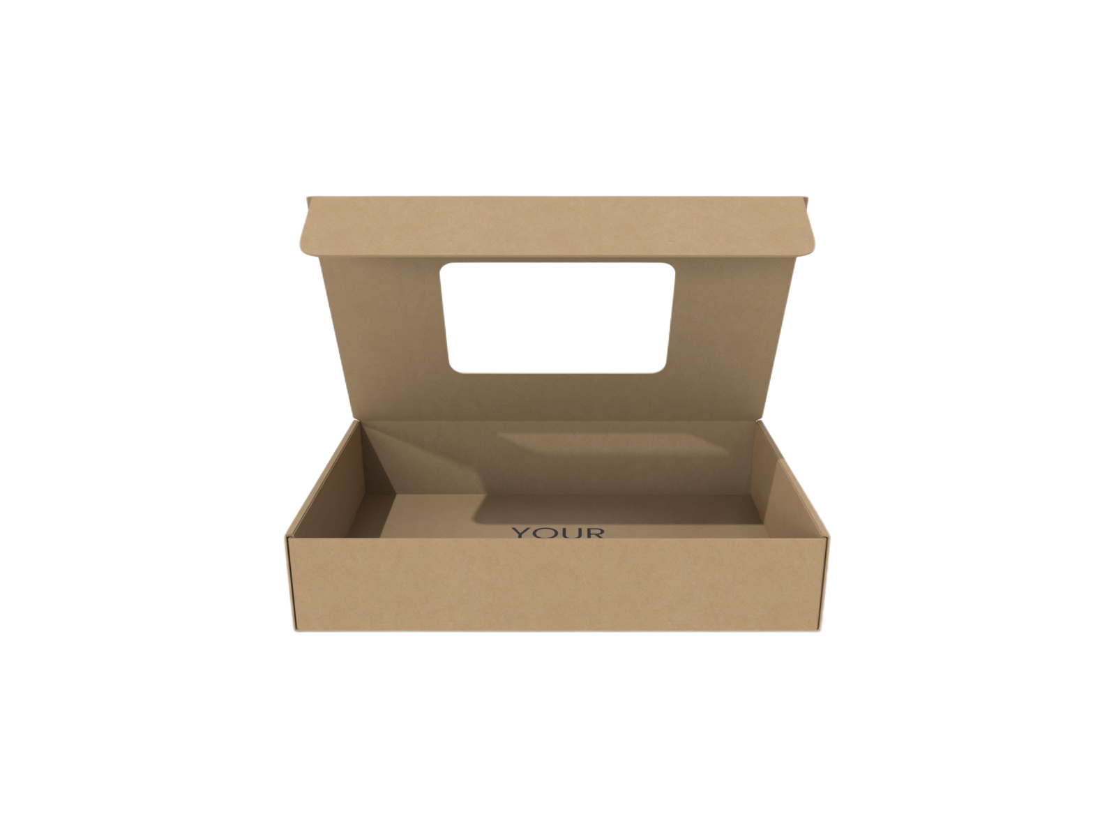 �������Ƿɻ��� (1).png
